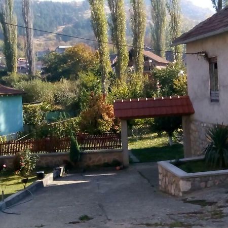 Guest House Green View Pirot Exteriör bild